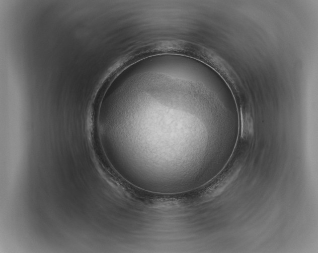 X0000111360435200907101234