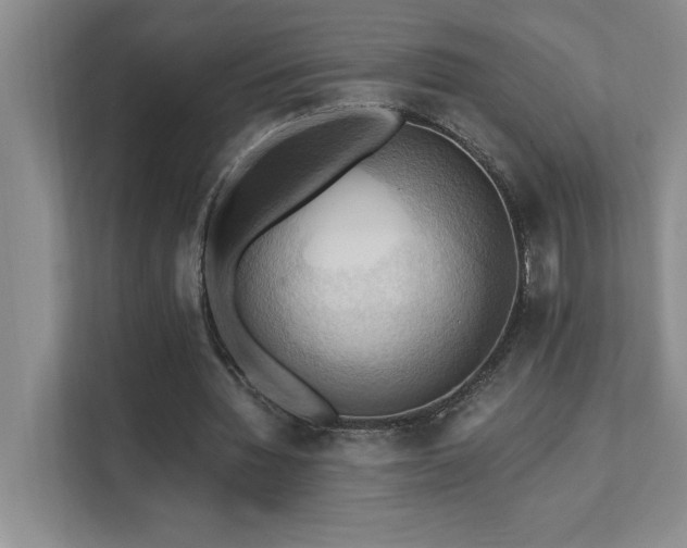 X0000111360436200907101234