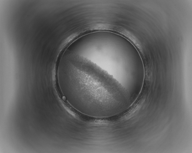 X0000111360437200907101234