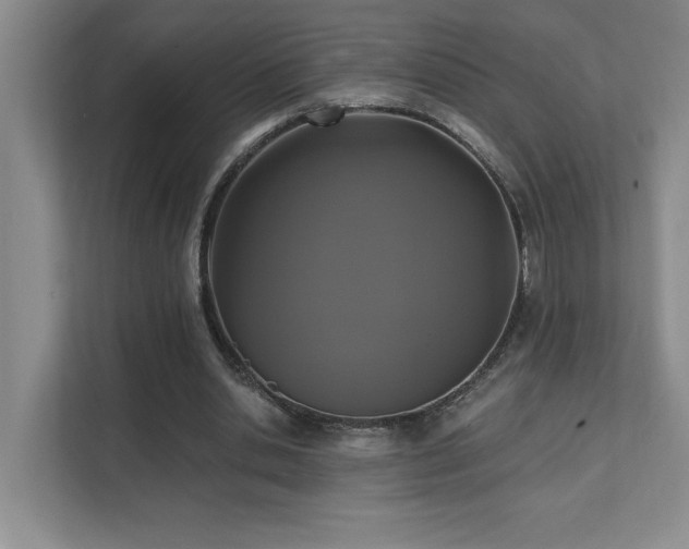 X0000111360438200907101234