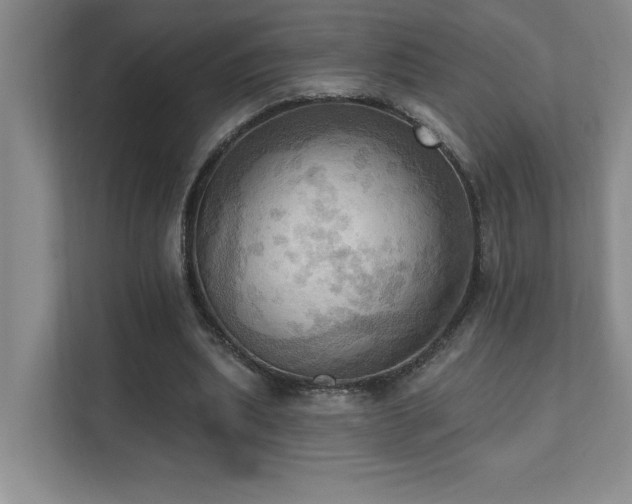 X0000111360439200907101234