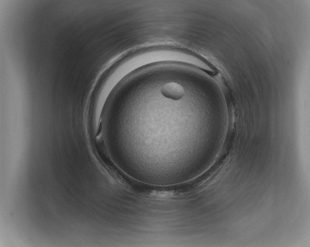 X0000111360440200907101234