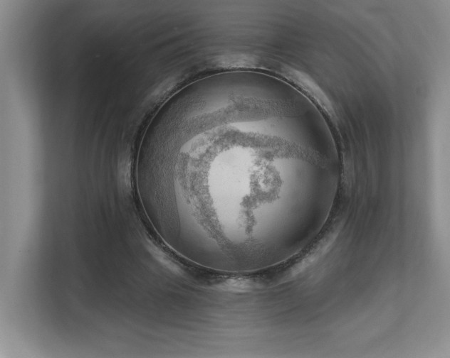 X0000111360441200907101234