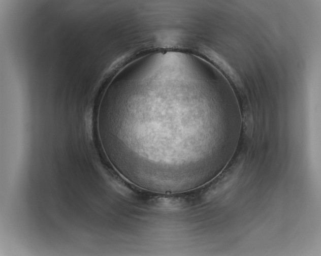 X0000111360442200907101234