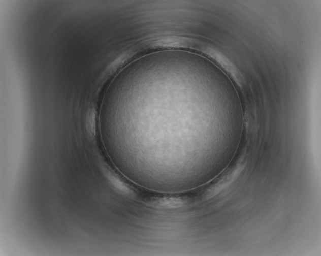 X0000111360445200907101234