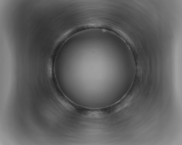 X0000111360446200907101234