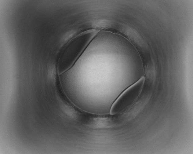 X0000111360448200907101234