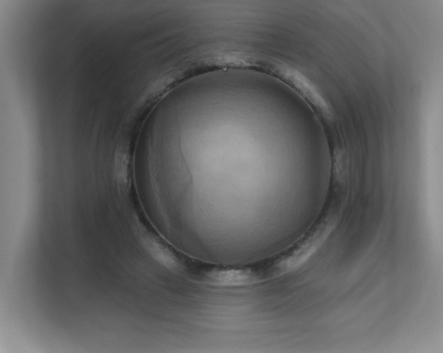 X0000111360449200907101234