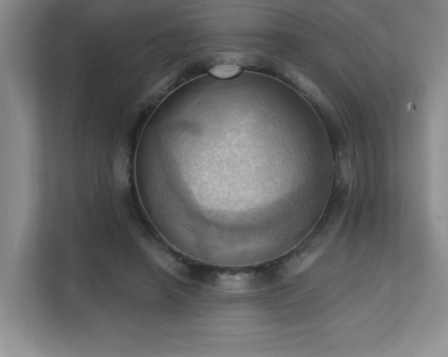 X0000111360450200907101234