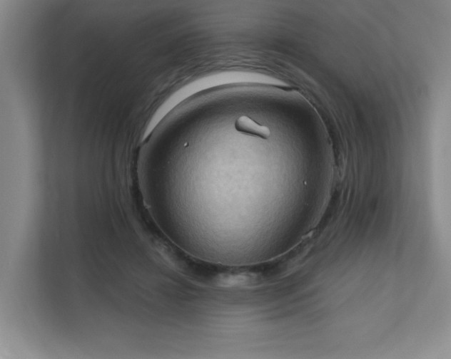 X0000111360452200907101234