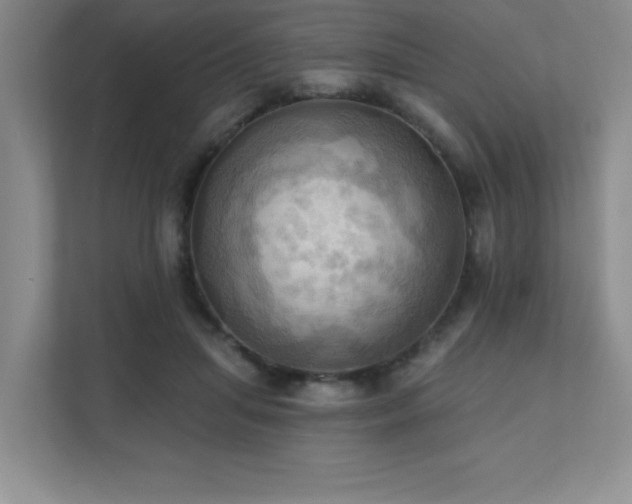 X0000111360455200907101234
