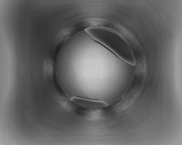 X0000111360456200907101234