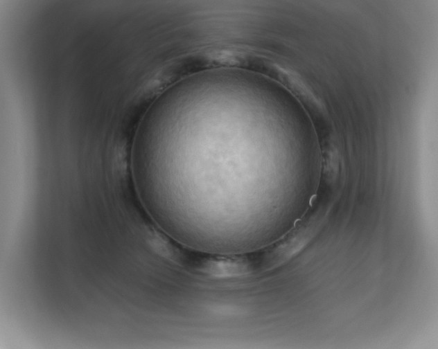 X0000111360466200907101234