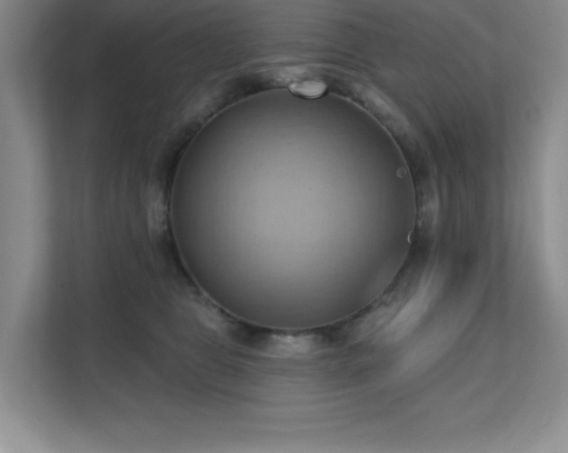 X0000111360469200907101234