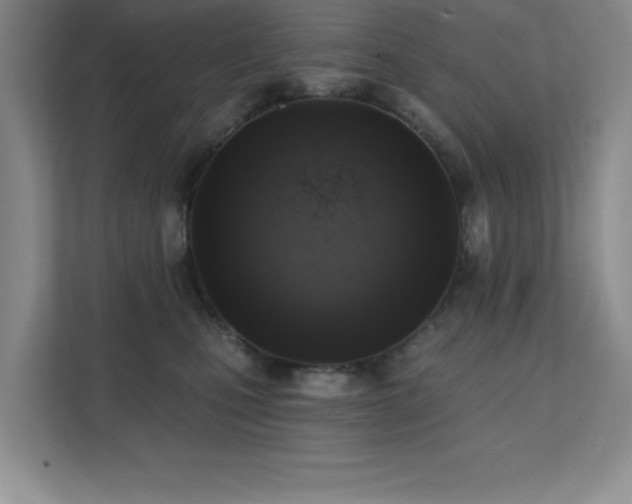 X0000111360471200907101234
