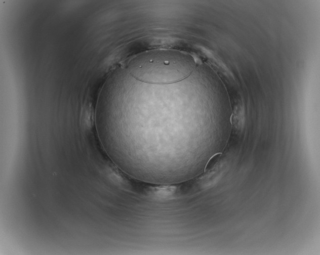 X0000111360474200907101234