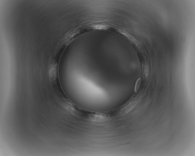 X0000111360475200907101234