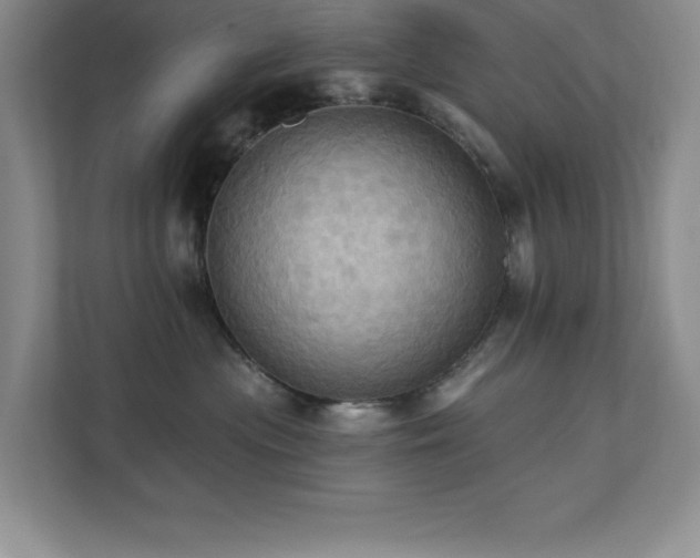 X0000111360477200907101234