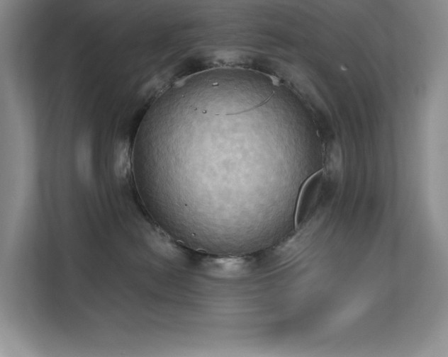 X0000111360478200907101234