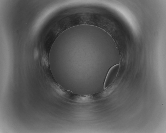 X0000111360479200907101234