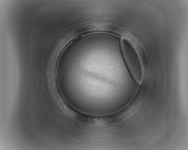 X0000111360481200907101234