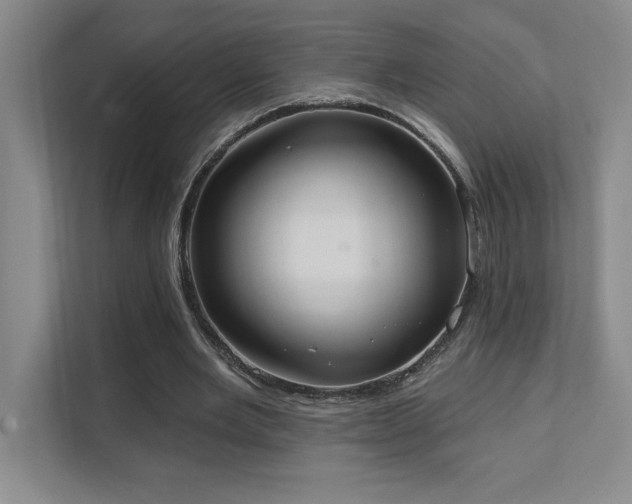 X0000111360485200907101233