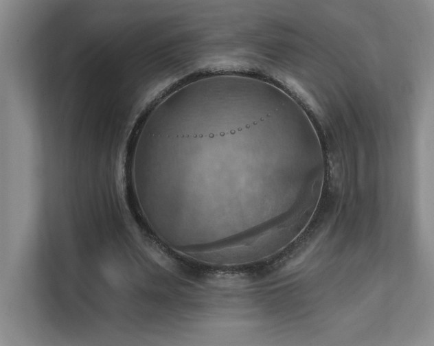X0000111360487200907101233