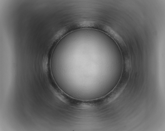 X0000111360490200907101233