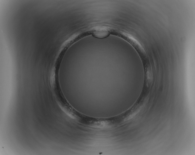 X0000111360492200907101233