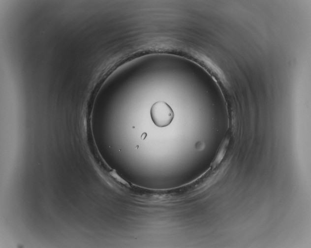 X0000111360493200907101233