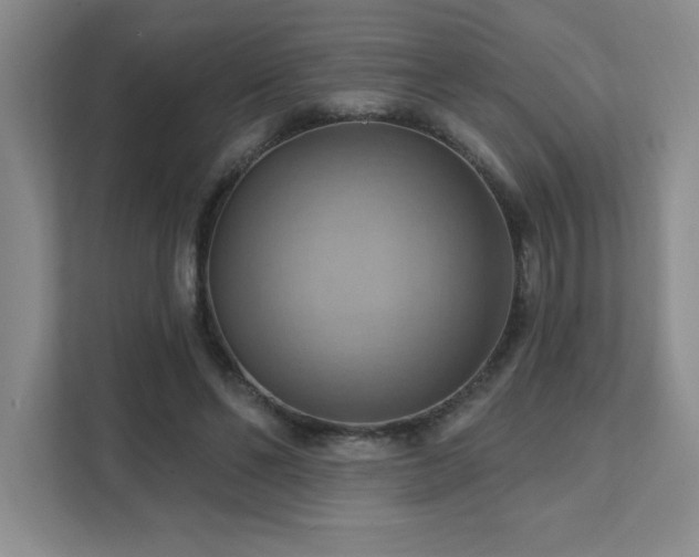 X0000111360494200907101233