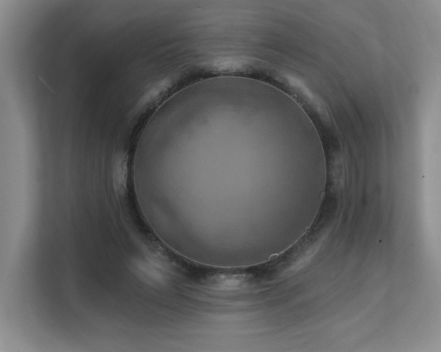 X0000111360495200907101233
