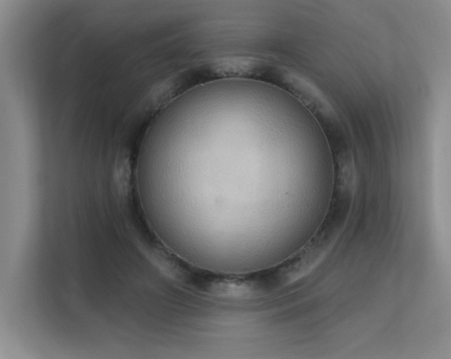 X0000111360498200907101233