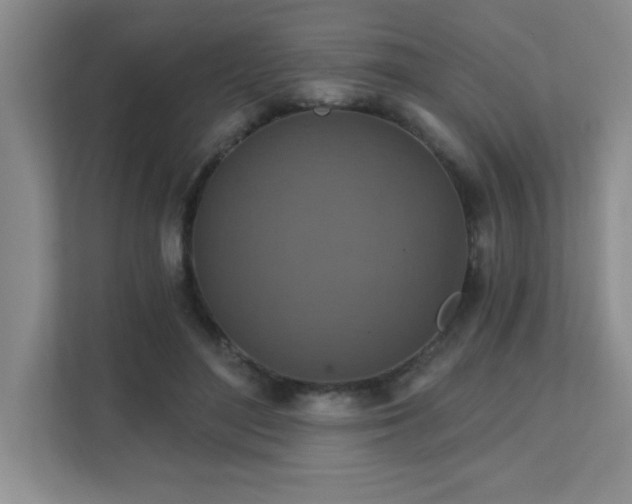 X0000111360500200907101233
