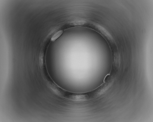 X0000111360501200907101233