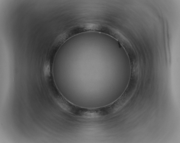 X0000111360502200907101233
