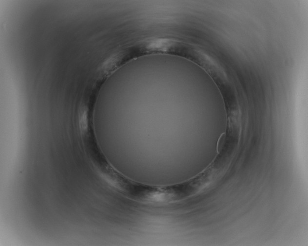 X0000111360504200907101233
