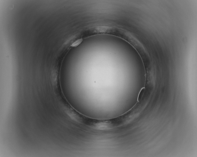 X0000111360505200907101233