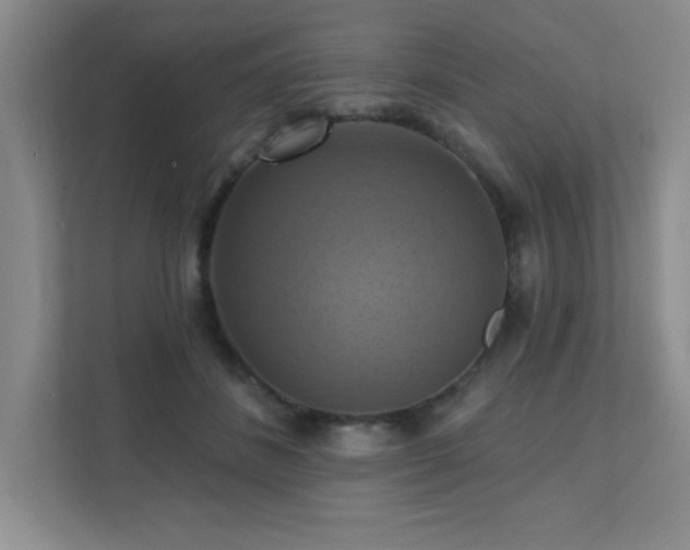 X0000111360508200907101233