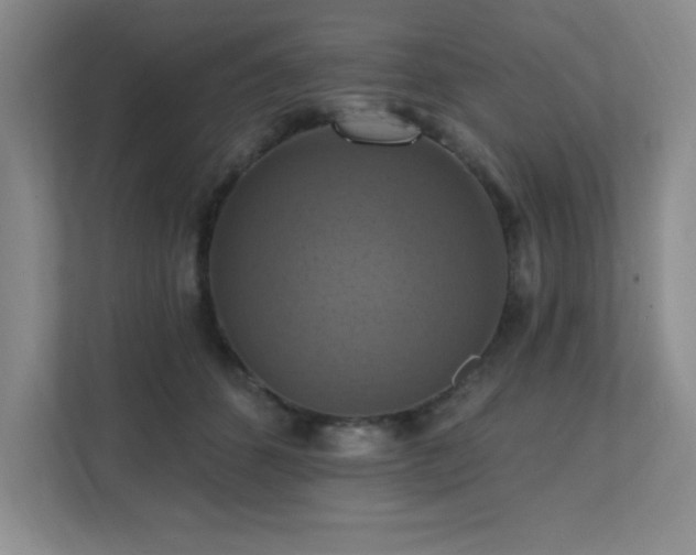 X0000111360512200907101233