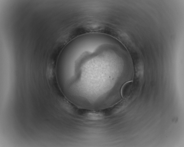 X0000111360515200907101233