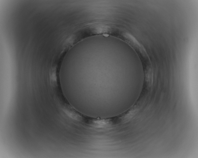 X0000111360516200907101233