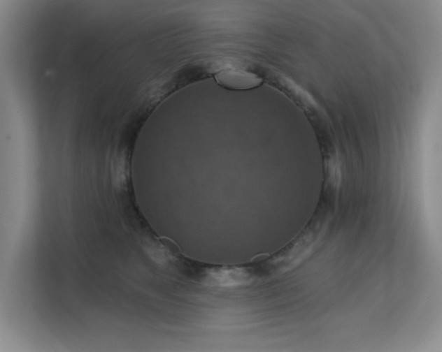 X0000111360517200907101233