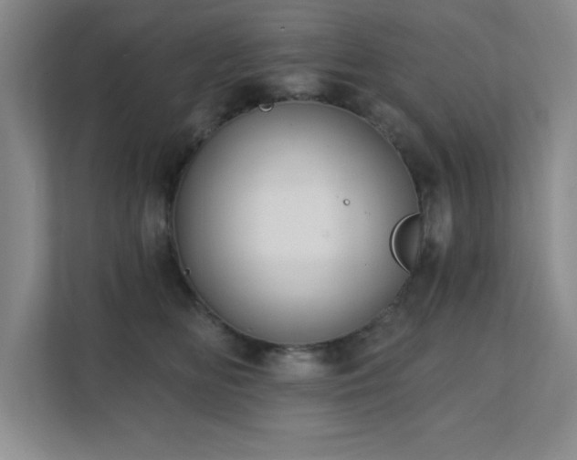 X0000111360518200907101233