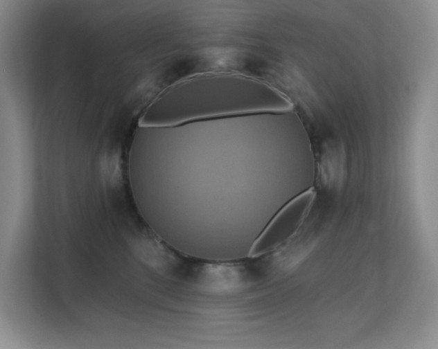 X0000111360520200907101233