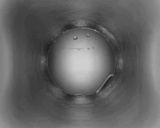 X0000111360521200907101233