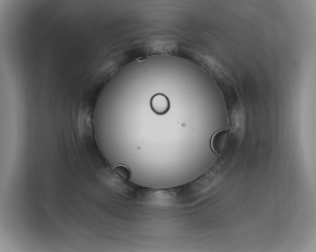 X0000111360522200907101233