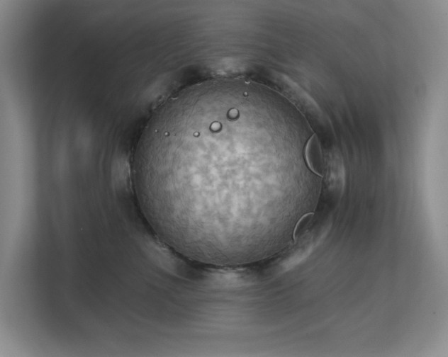 X0000111360523200907101233