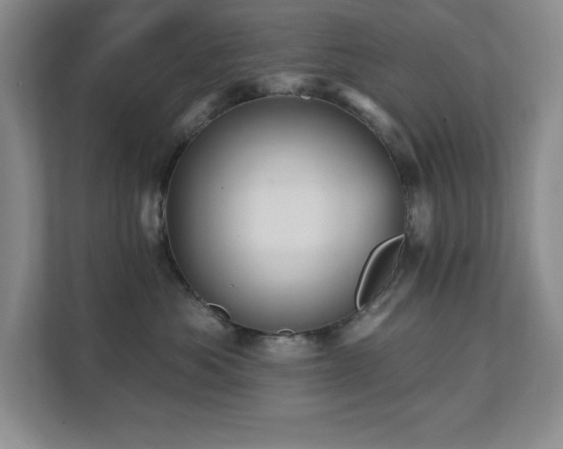 X0000111360525200907101233