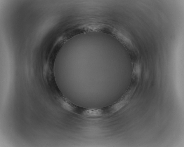 X0000111360526200907101233